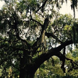 Meet your Posher, Mollie